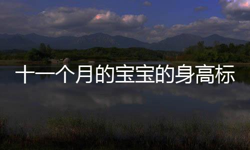 十一个月的宝宝的身高标准