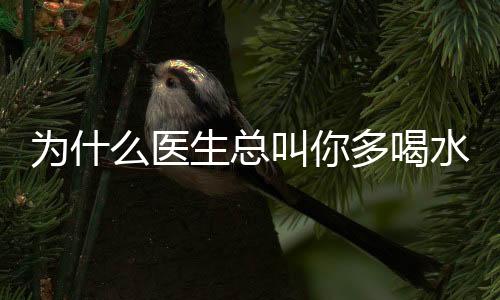 为什么医生总叫你多喝水