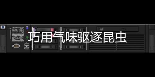 巧用气味驱逐昆虫